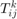 $T^k_{ij}$